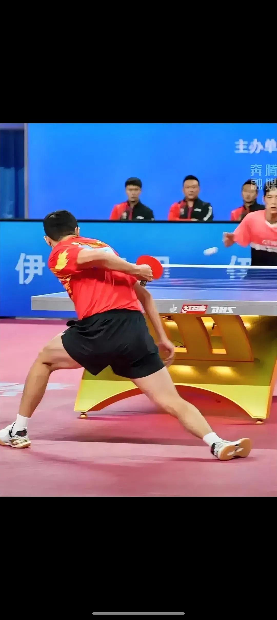 奥地利乒乓球队险胜比利时乒乓球队，许昕关键制胜的简单介绍