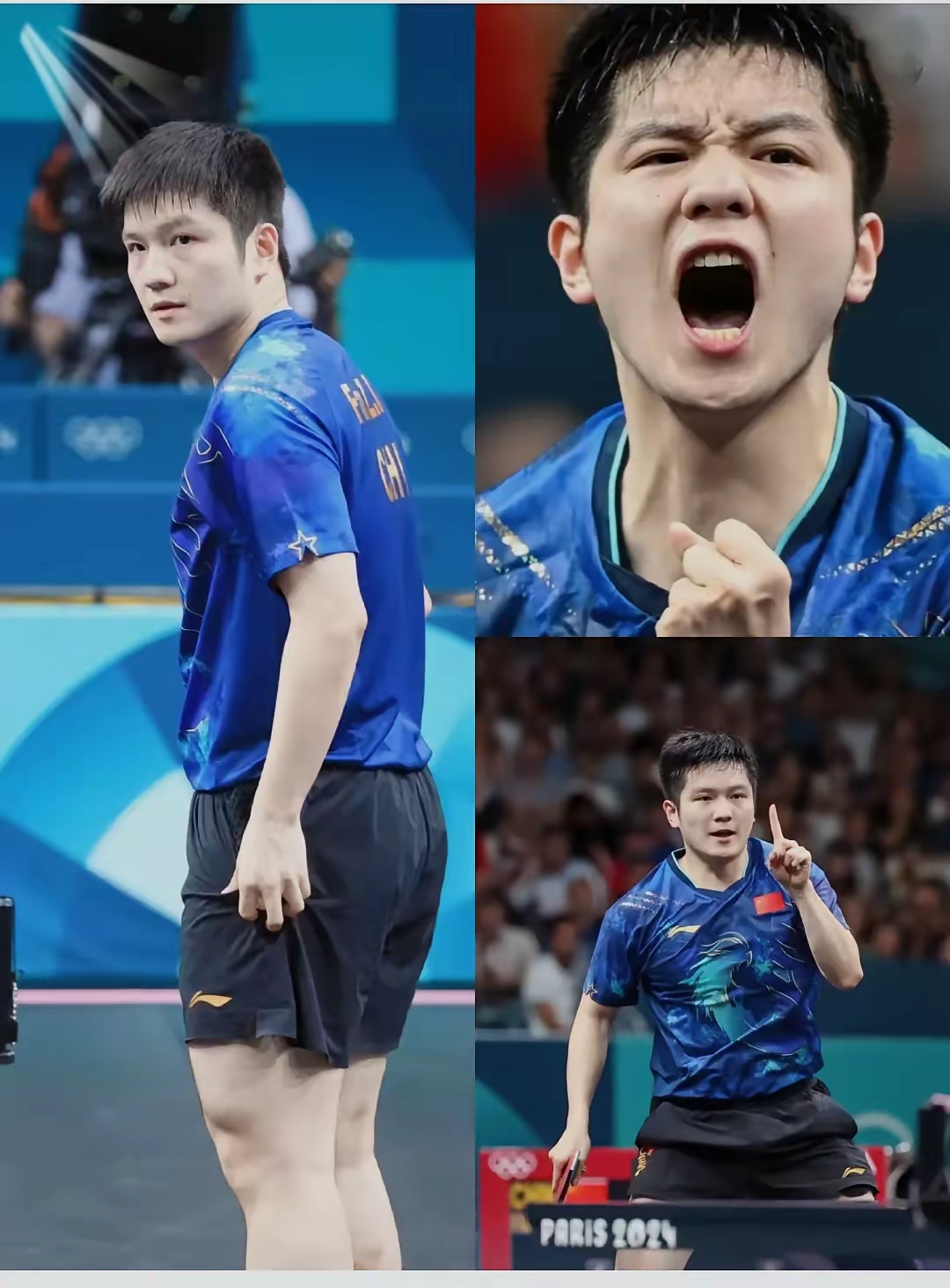 波兰乒乓球队完胜英国乒乓球队，樊振东完成帽子戏法的简单介绍