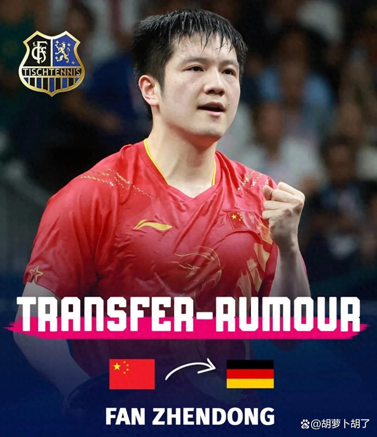 关于法国乒乓球队逆转德国乒乓球队，樊振东送出助攻的信息