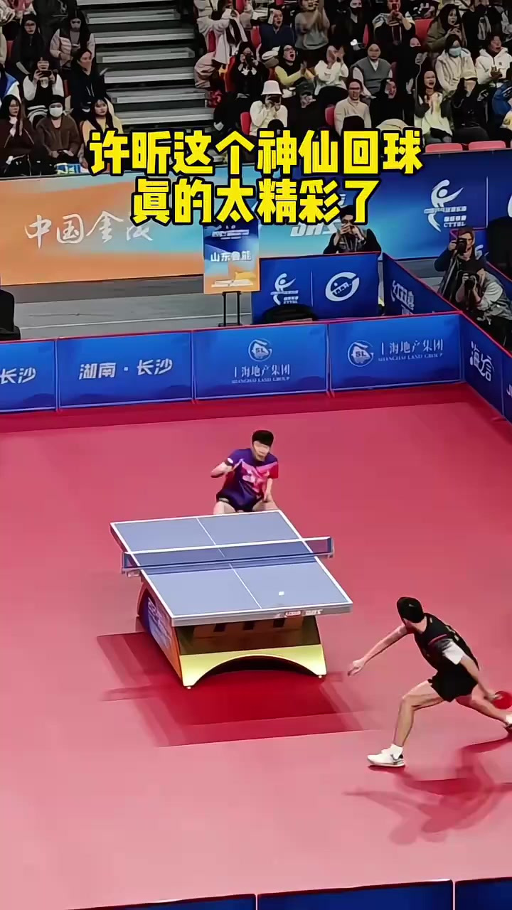 关于瑞典乒乓球队完胜奥地利乒乓球队，许昕制霸全场的信息