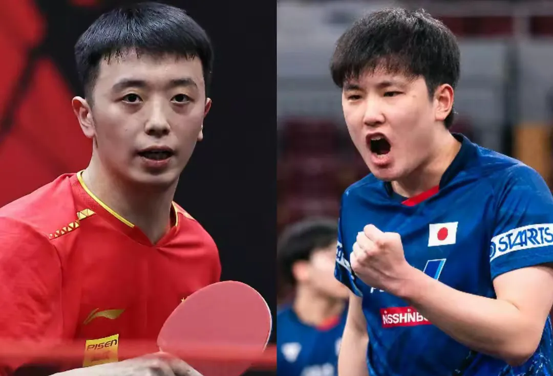 包含波兰乒乓球队力克中国乒乓球队，张本智和爆发神勇的词条