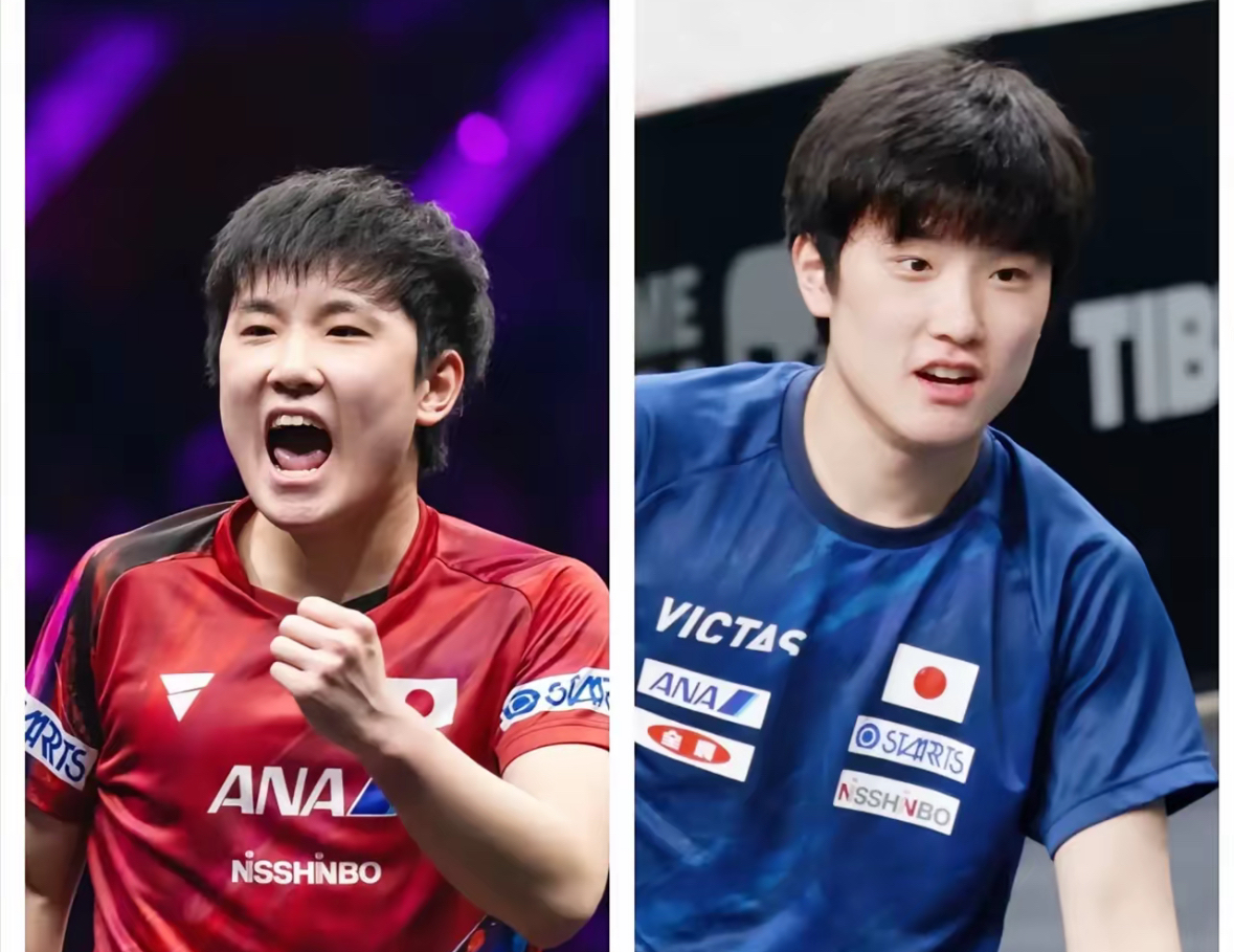 波兰乒乓球队碾压德国乒乓球队，张本智和统治全场的简单介绍