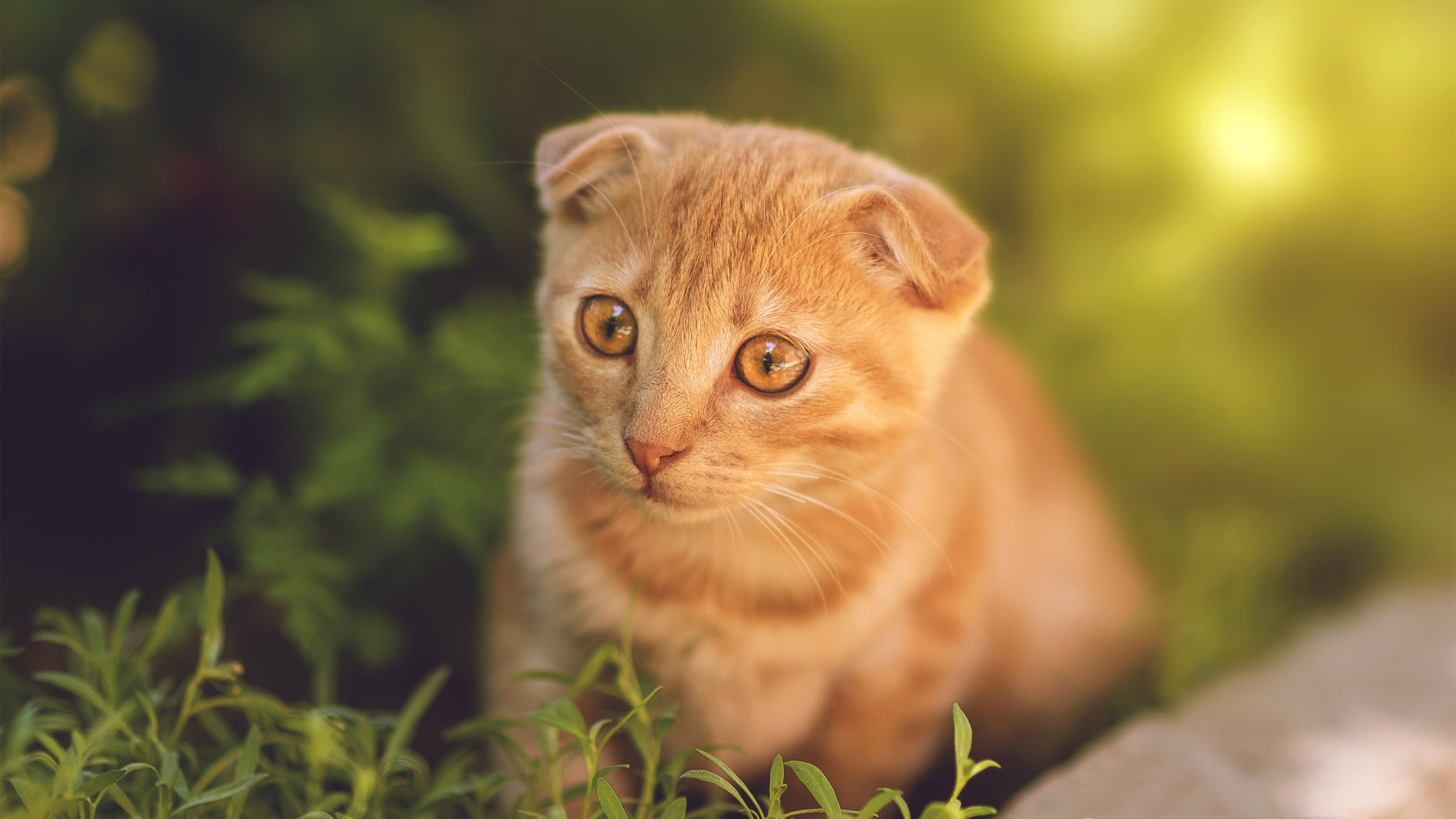 巴尔韦德压力下完成爆发，英格兰逆转多特蒙德，一场定义职业生涯的夜晚