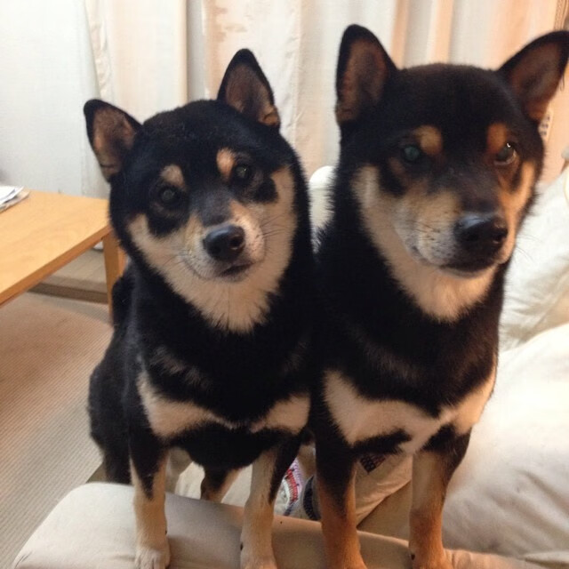 巴尔韦德压力下完成爆发，英格兰逆转多特蒙德，一场定义职业生涯的夜晚