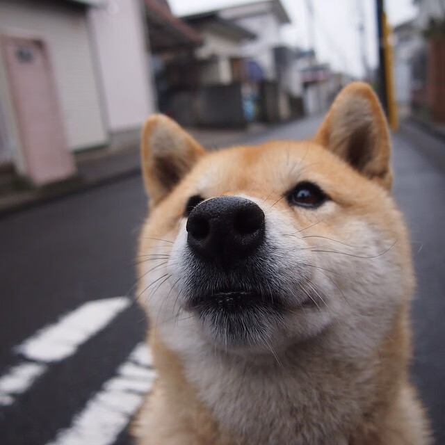 毕尔巴鄂奇迹，玻利维亚爆冷背后的恩佐冠军级表现